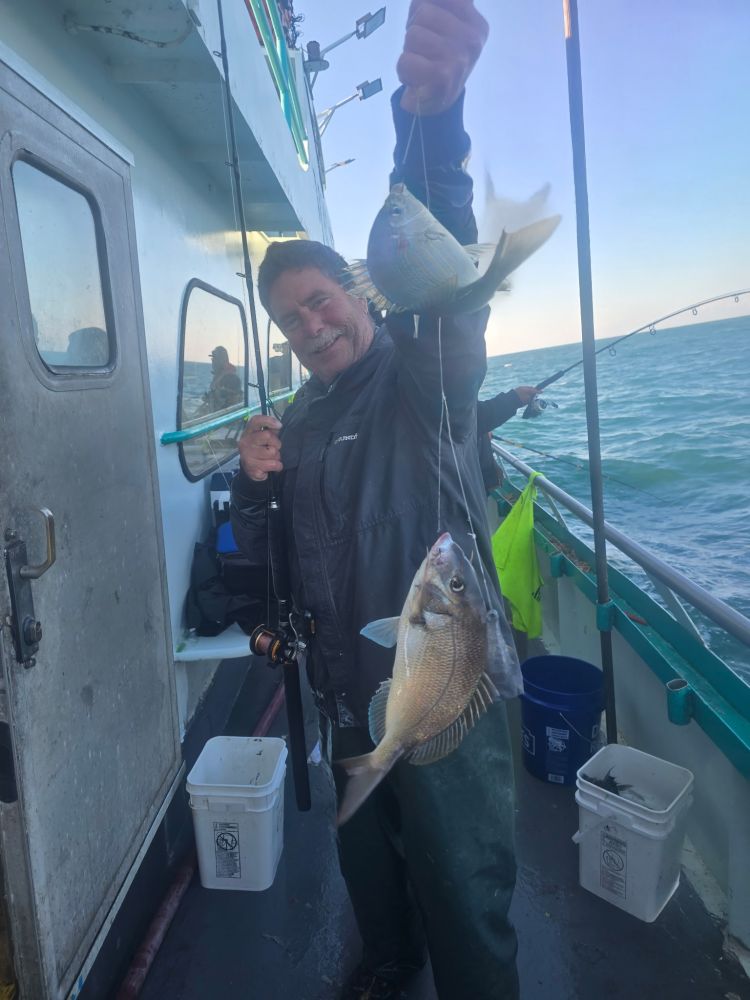 Person on a boat holding two caught fish with a fishing rod.