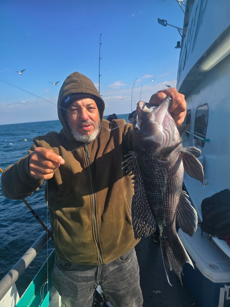 Person in a hoodie holding a fish on a boat with ocean and birds in the background.