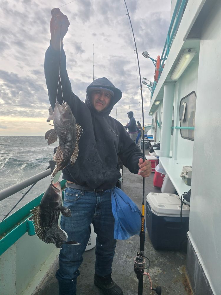 Person on a boat in a hoodie holding a fishing rod with two fish in overcast weather.