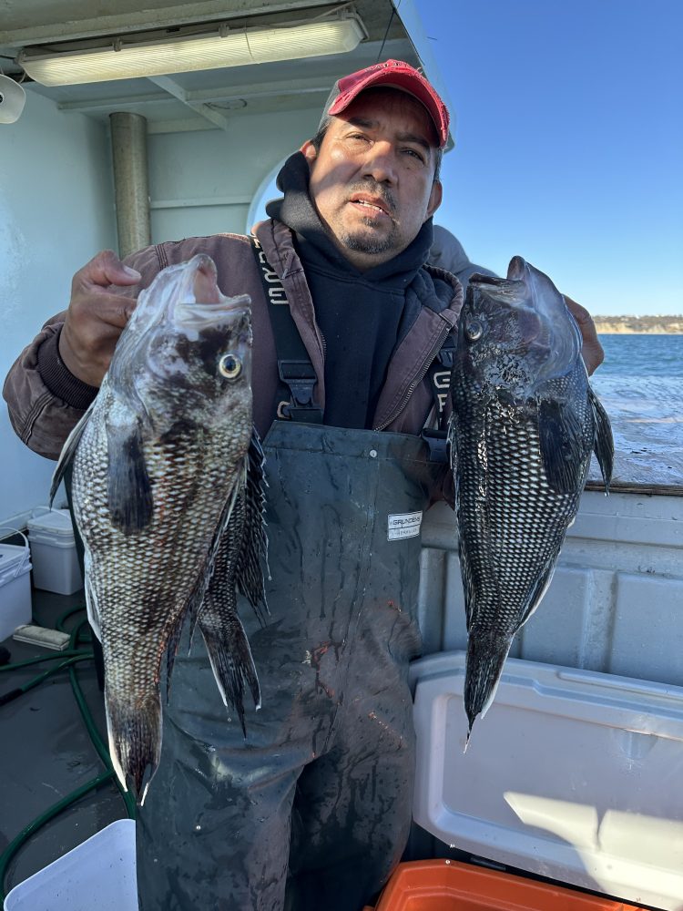 Person holding two large fish on a boat with the ocean in the background.