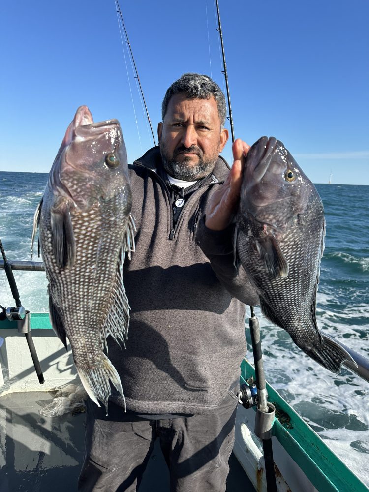 Person holding two large fish on a boat under a clear blue sky.