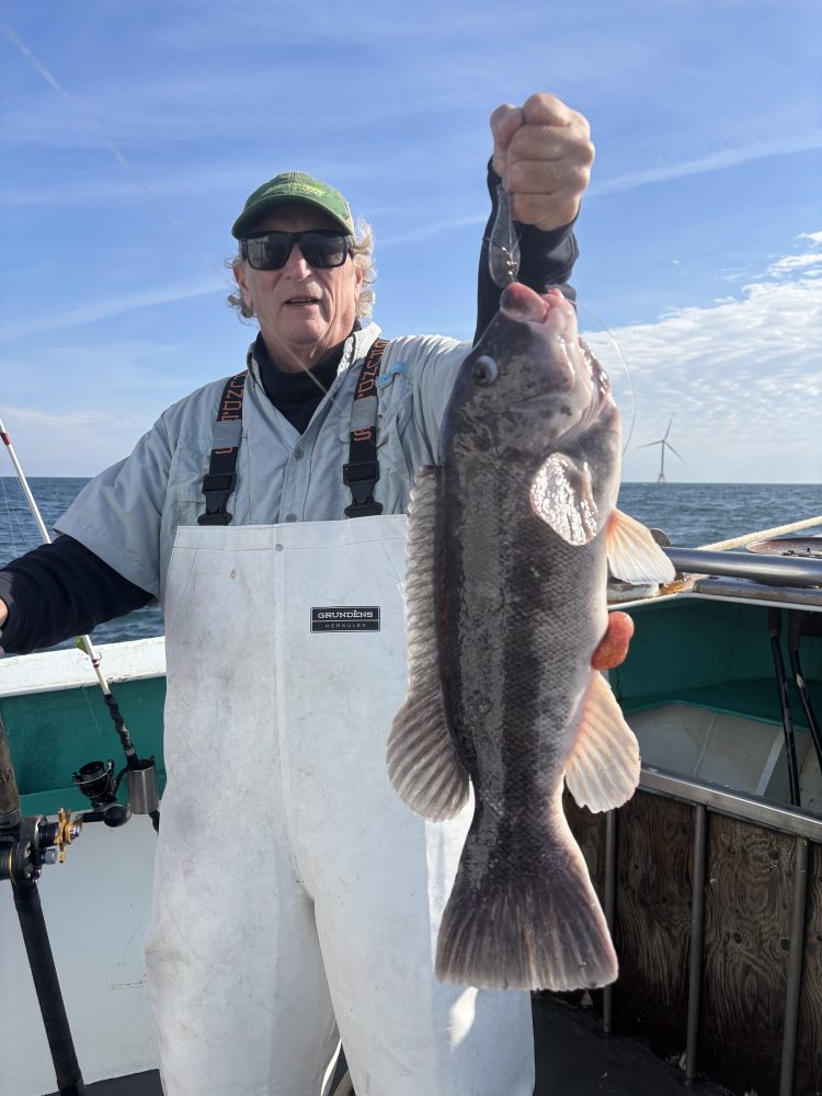Person on a boat holding a large fish, wearing sunglasses and a cap.