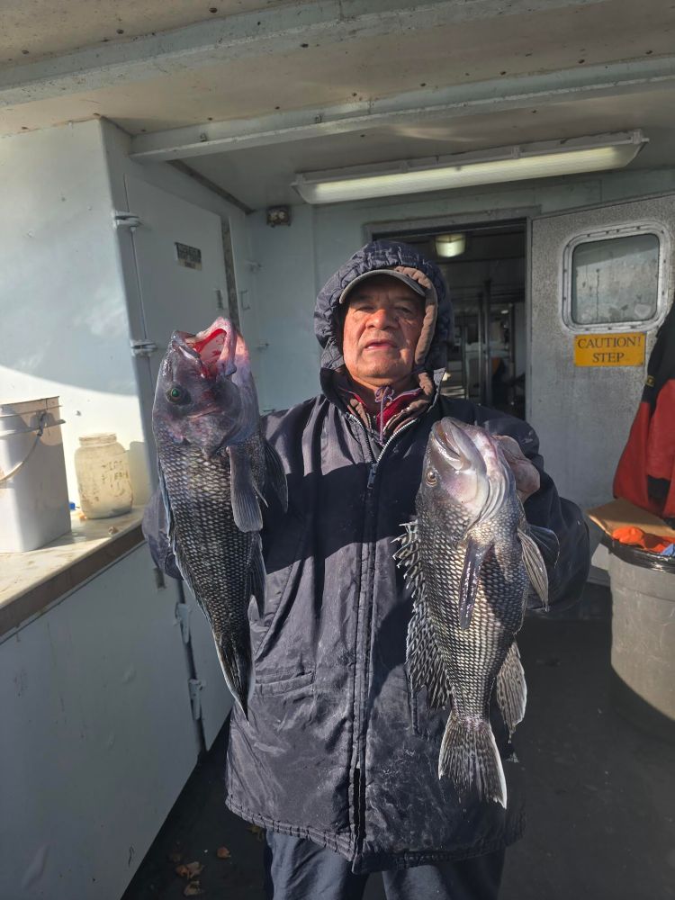 Person in hooded jacket holding two large fish on a boat.