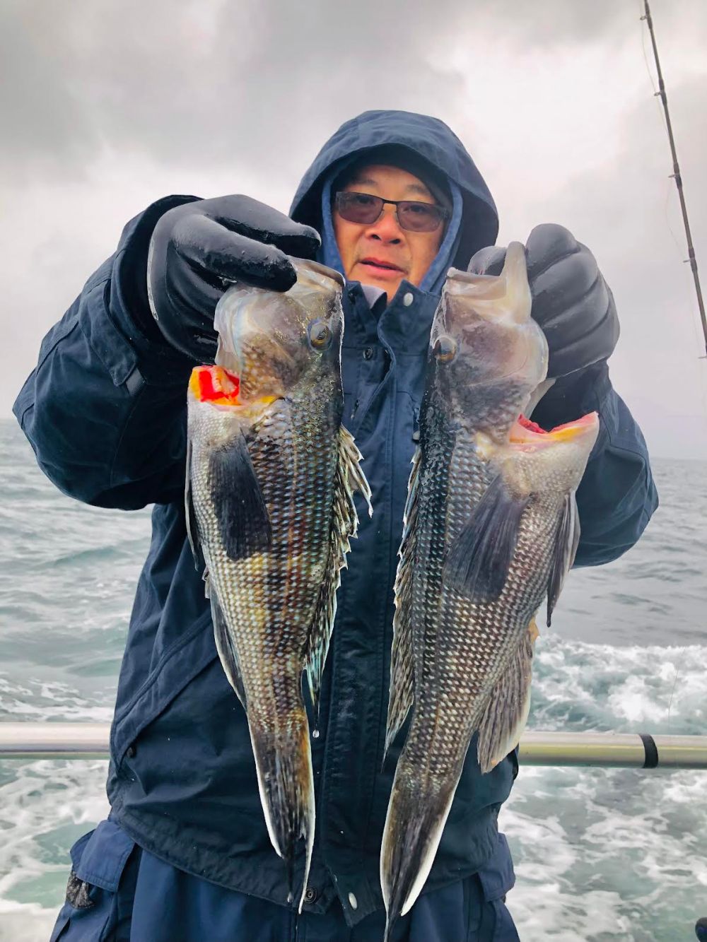 Person in a raincoat holding two fish on a boat with cloudy sky and ocean in the background.