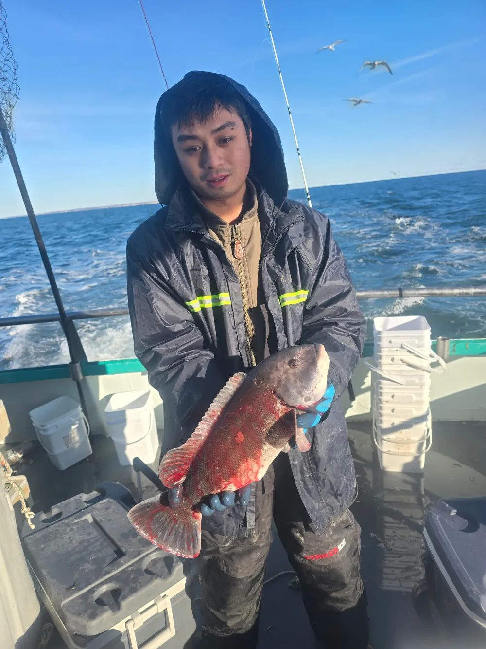 Person on a boat holding a freshly caught fish, with seagulls flying in the background over the ocean.