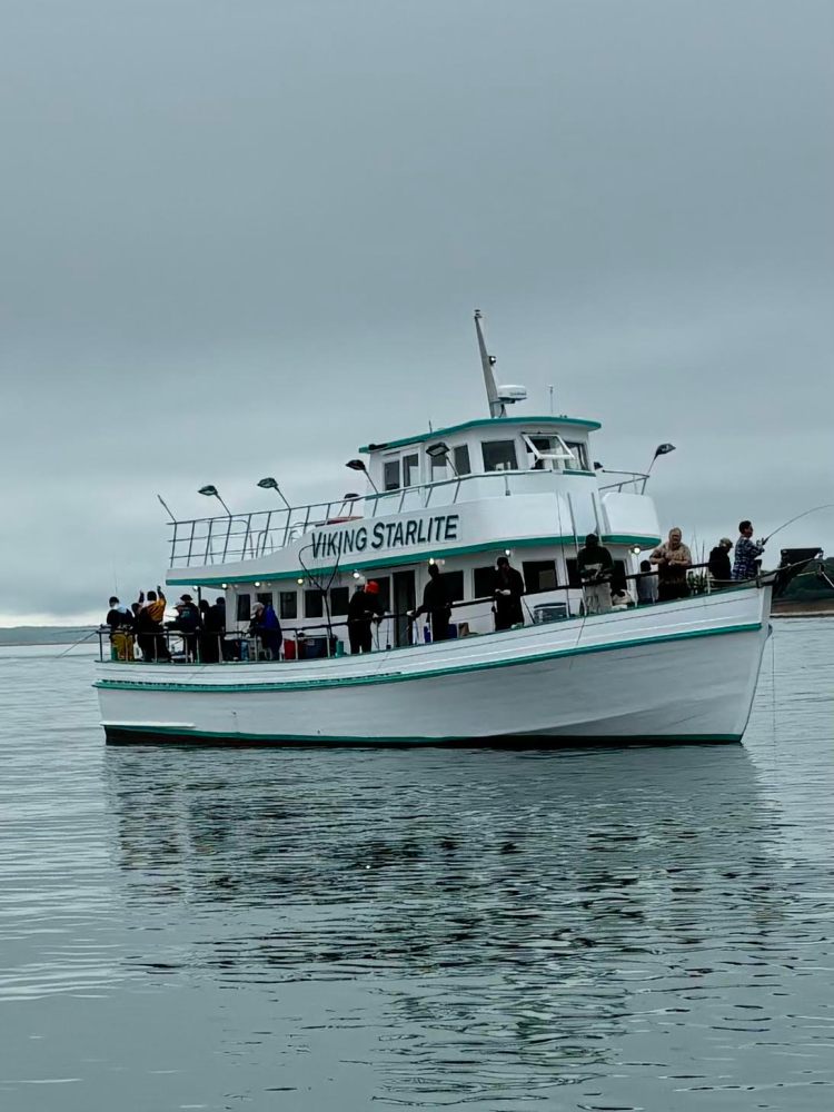White tour boat named Viking Starlite on calm water with passengers aboard.