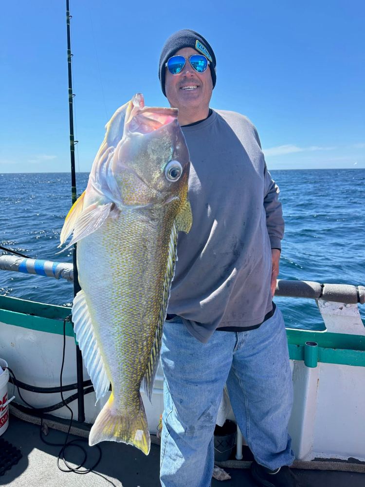 Person on a boat holding a large fish, ocean in the background.