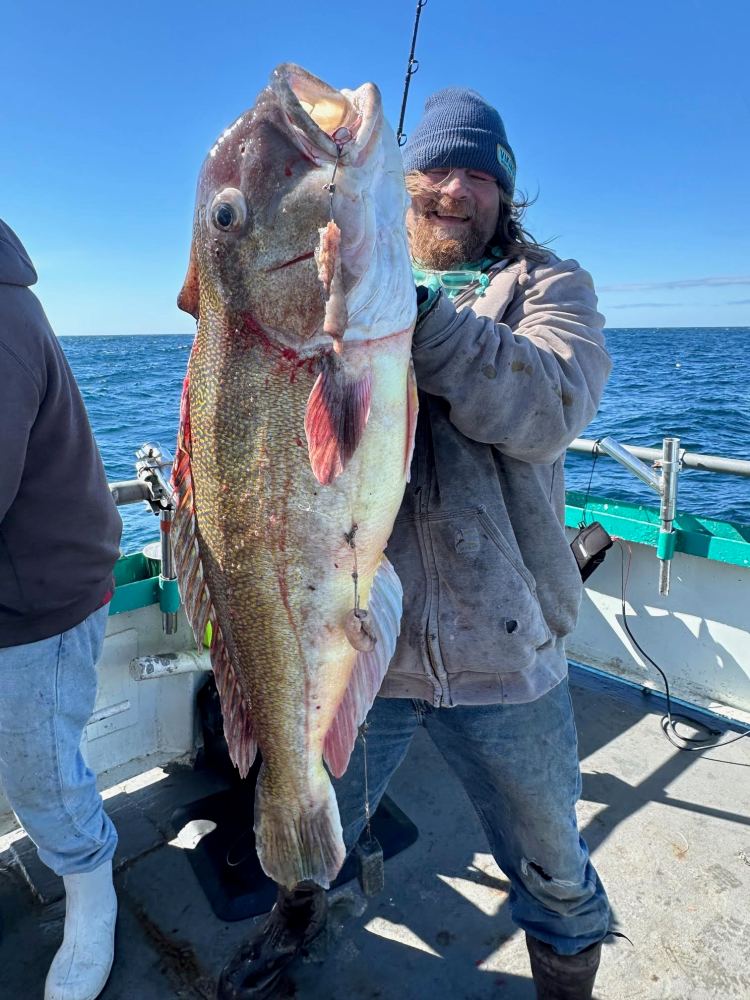 Person holding a large fish on a boat with the ocean in the background.