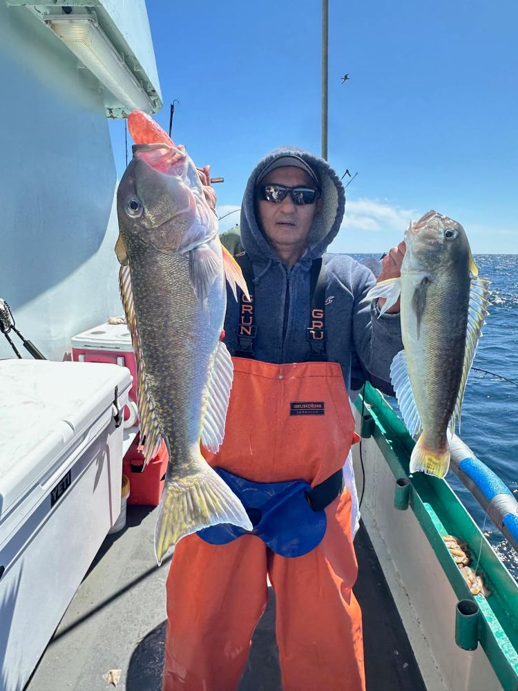 Person holding two fish on a boat in bright sunlight.