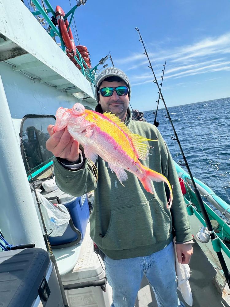Person holding a colorful fish on a boat, with fishing rods in the background.