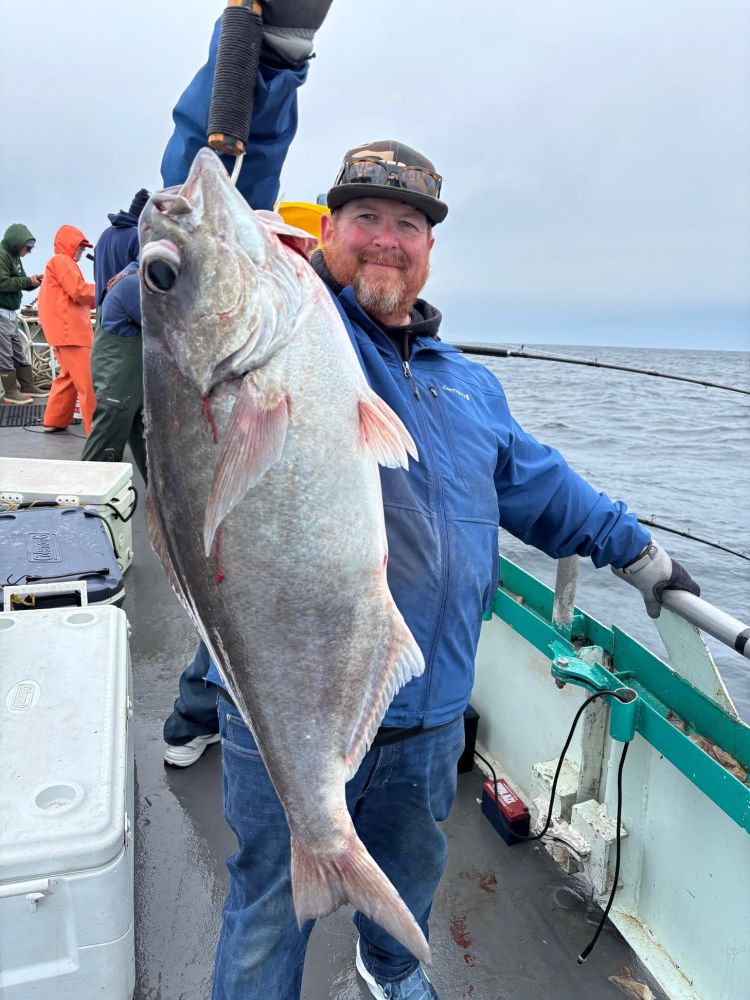 Person in blue jacket holding a large fish on a boat.