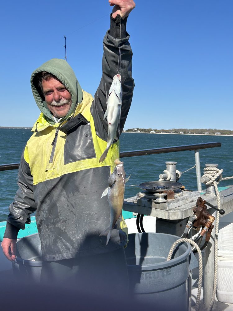 Person on a boat holding a fish with ocean in the background.