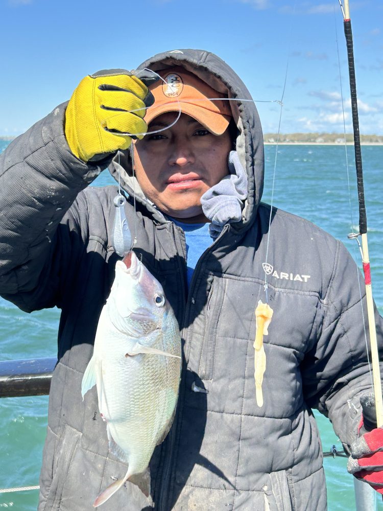 Person holding a fishing rod with a caught fish by the water.