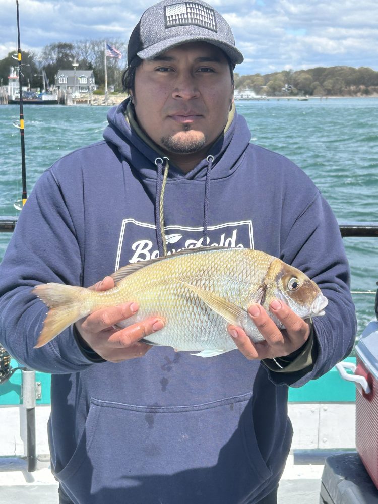 Person holding a fish on a boat with water and trees in the background.