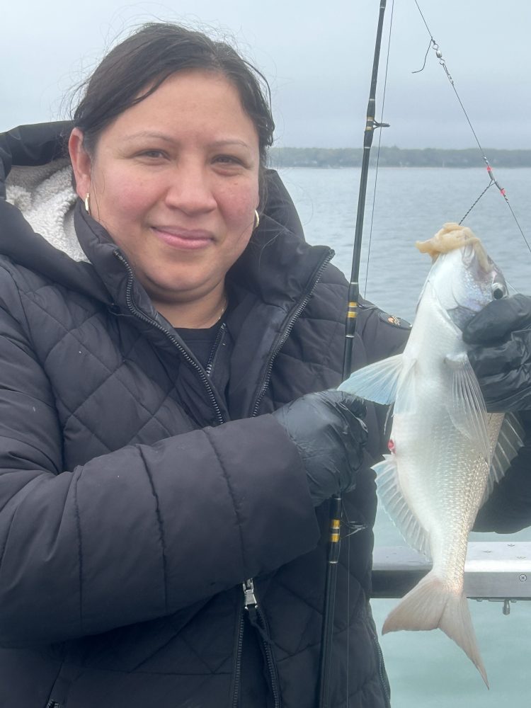 Person holding a fish next to a fishing rod on a boat.