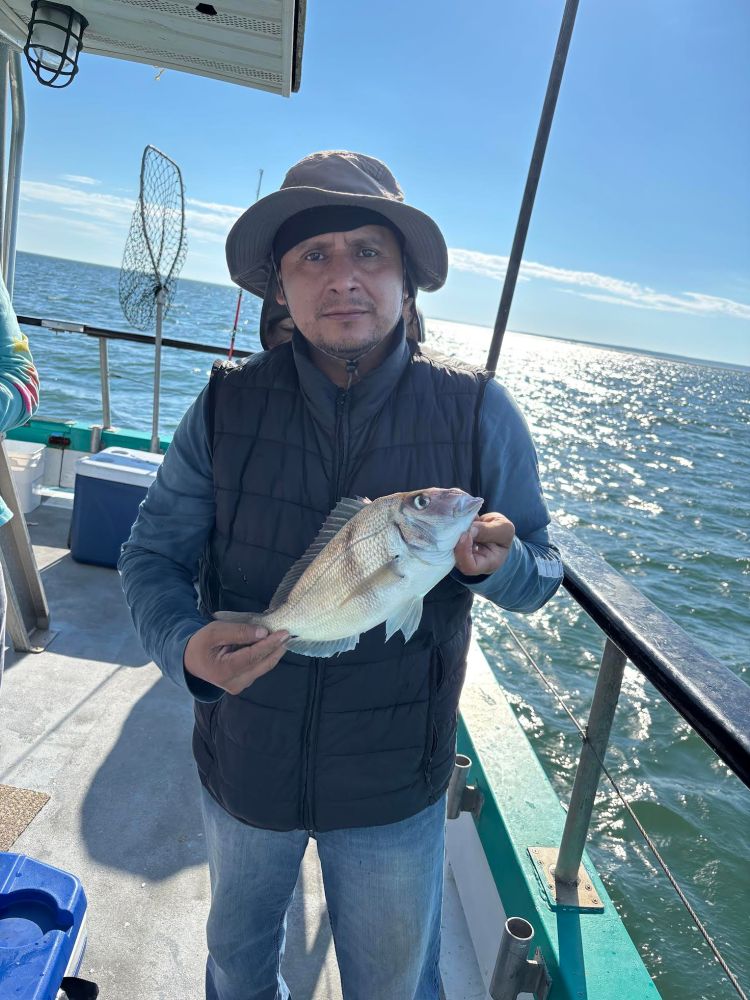Person on a boat holding a fish, with water in the background.