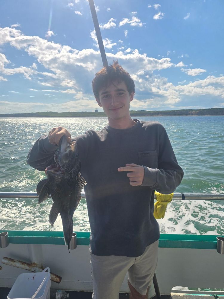 Person on a boat holding a fish with the sea in the background.