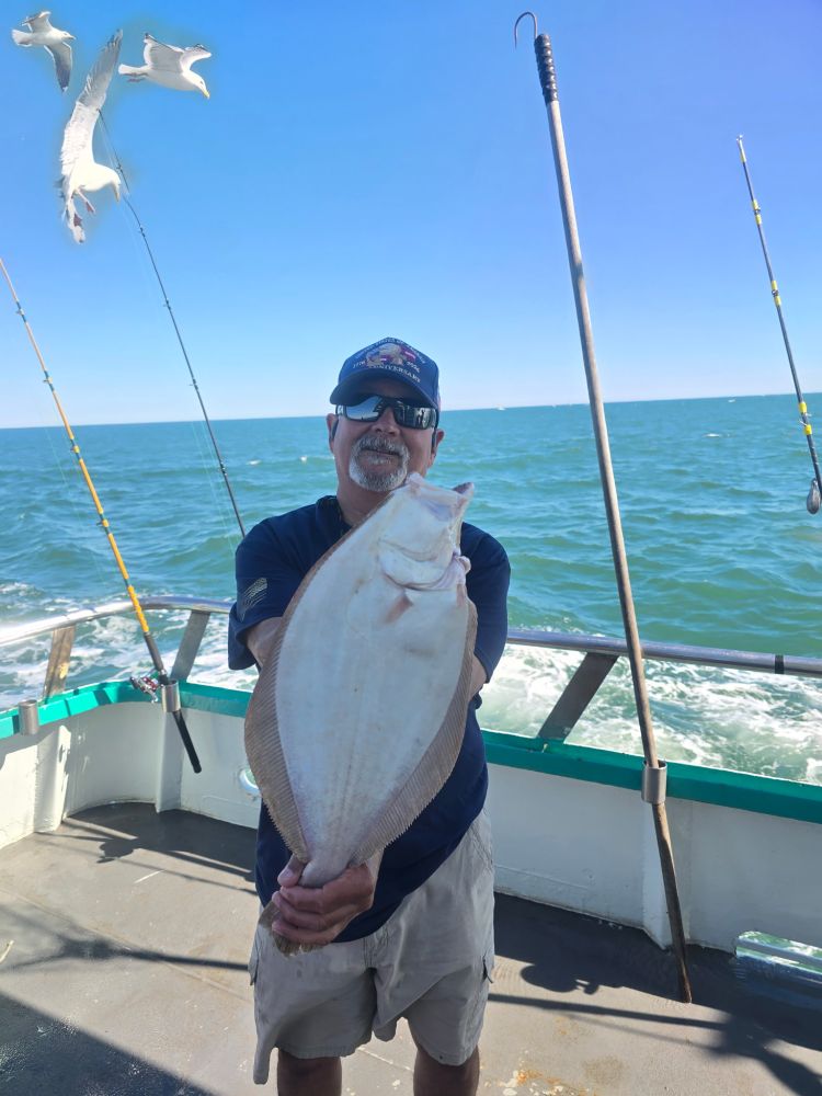Man on boat holding a large fish with a seagull flying above.