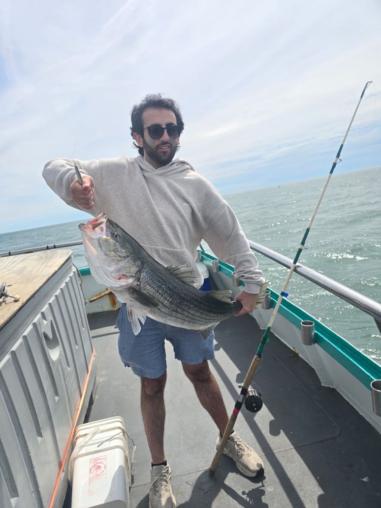 Person holding large fish on a boat with fishing rod.