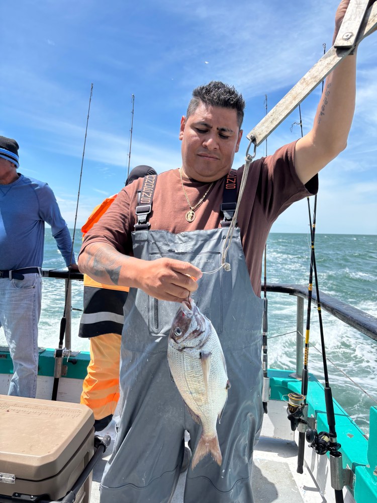 Person on boat holding a fish with ocean in background.