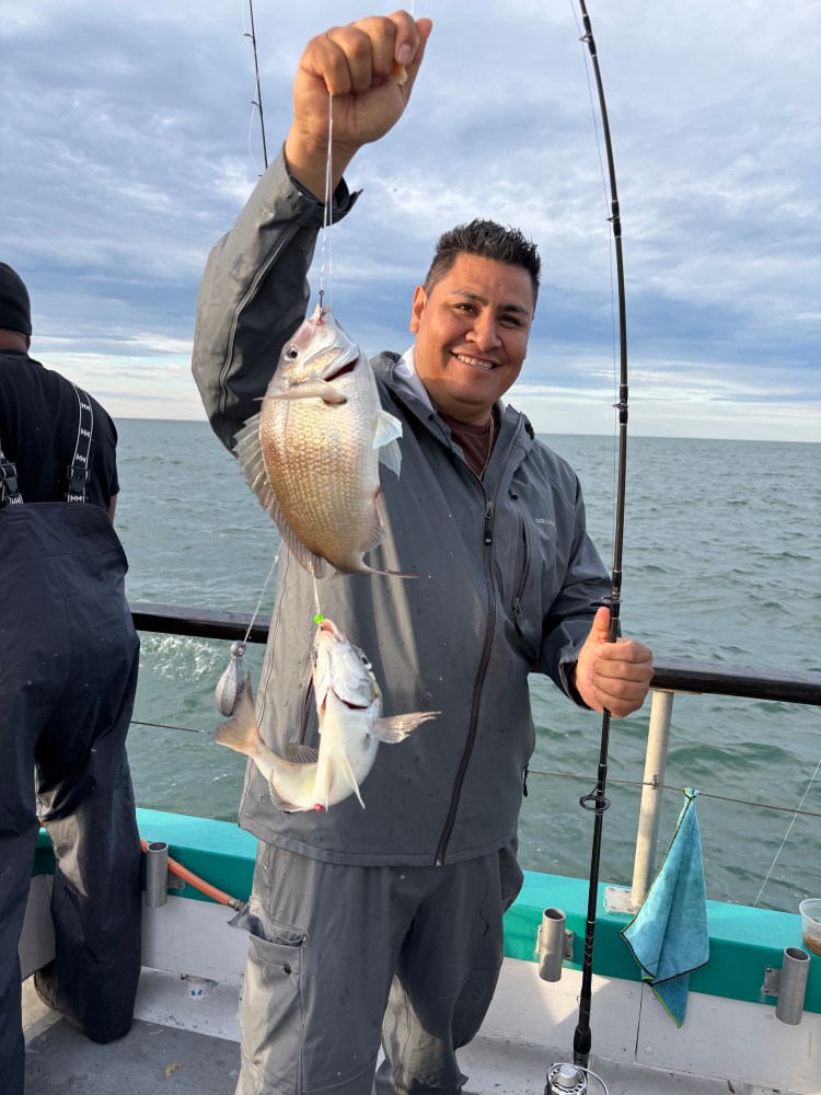 Man holding fishing rod and two fish on a boat.