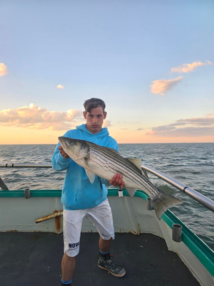 Person in blue hoodie holding a large fish on a boat at sea during sunset.