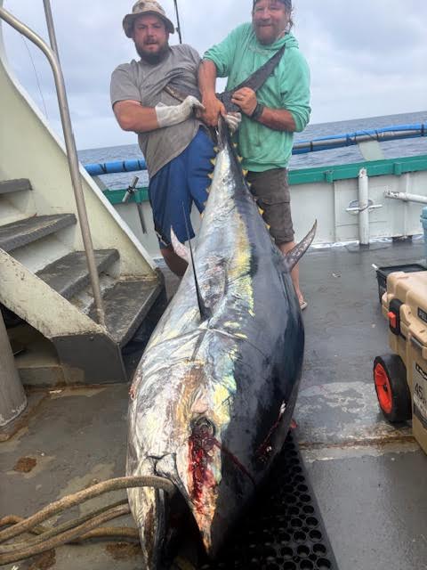 Two fishermen on a boat holding a large tuna fish.