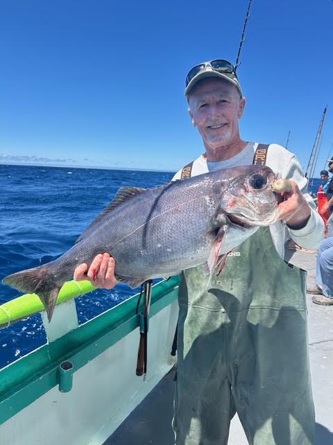 Person on a boat holding a large fish with blue ocean background.