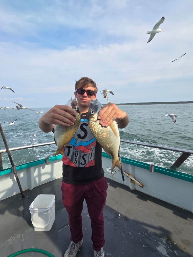 Person holding two fish on a boat with seagulls flying overhead.
