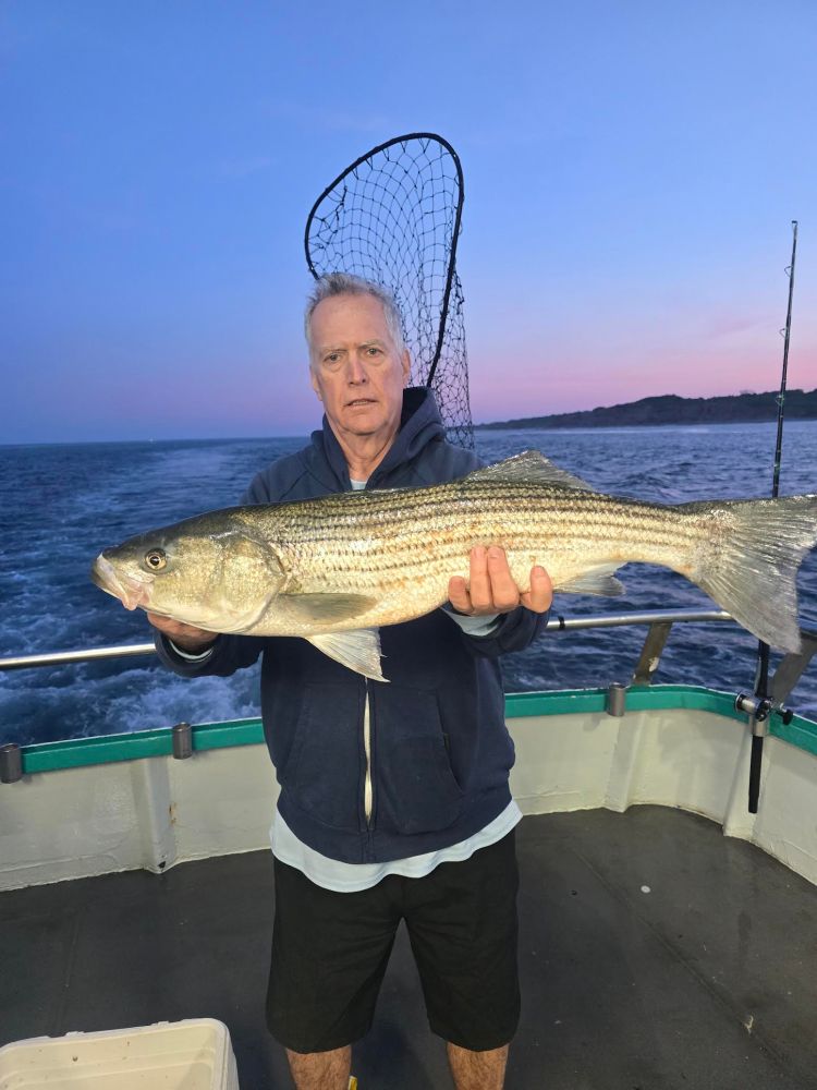 Person holding a large fish on a boat with ocean background at dusk.