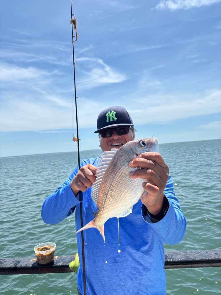 Person in blue shirt holding a fish on a pier with ocean and sky background.