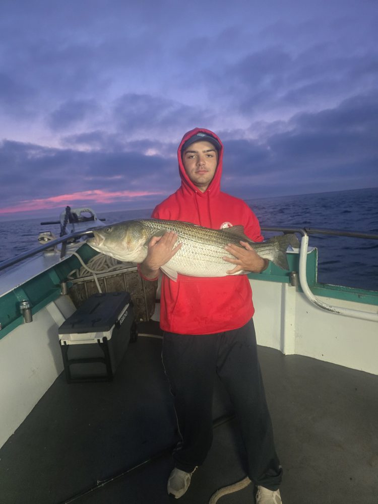 Person in red hoodie holding a large fish on a boat at dawn.