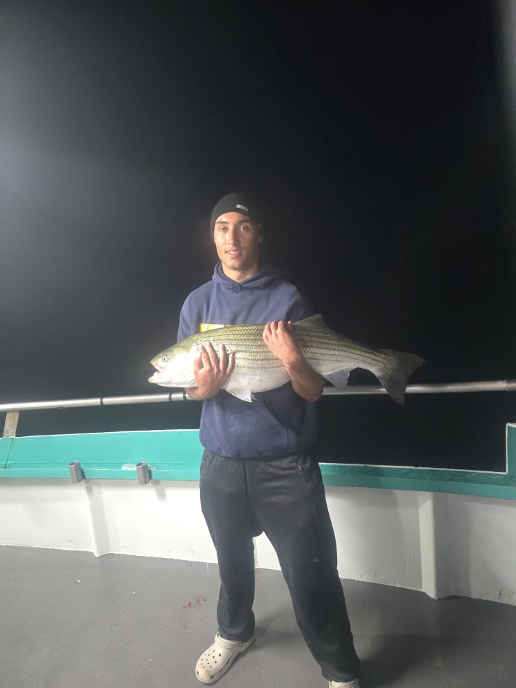 Person holding a large fish on a boat at night.