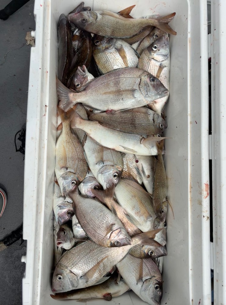 Cooler filled with assorted fish on a boat deck.