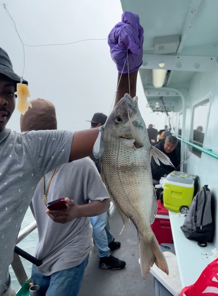 Person holding a large fish on a boat, with people and fishing gear in the background.