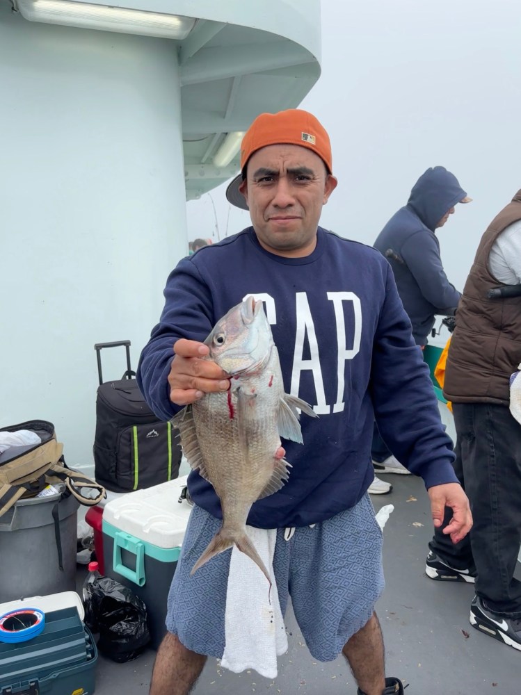 Person holding a fish on a boat with fishing gear nearby.