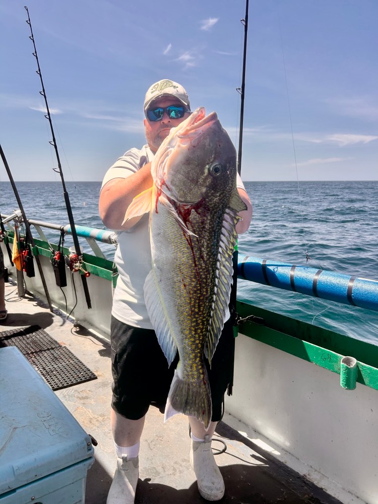 Person holding a large fish on a boat under a clear sky.
