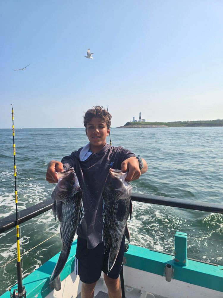 Person holding two fish on a boat with ocean and birds in the background.