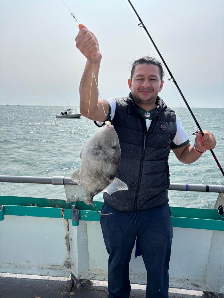 Person holding a fish on a boat with ocean in the background.
