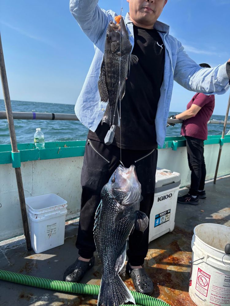 Person holding two fish on a boat with ocean in background.