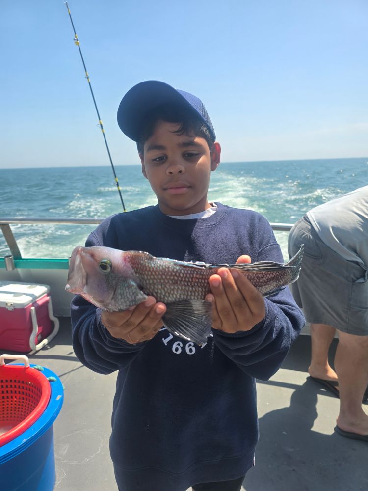 Boy in a cap holding a fish on a boat with ocean in the background.