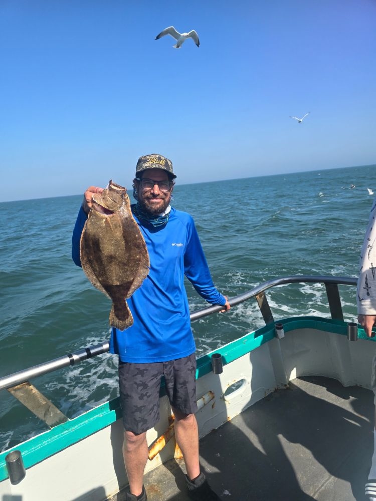 Person holding a large fish on a boat with ocean and seagulls in background.