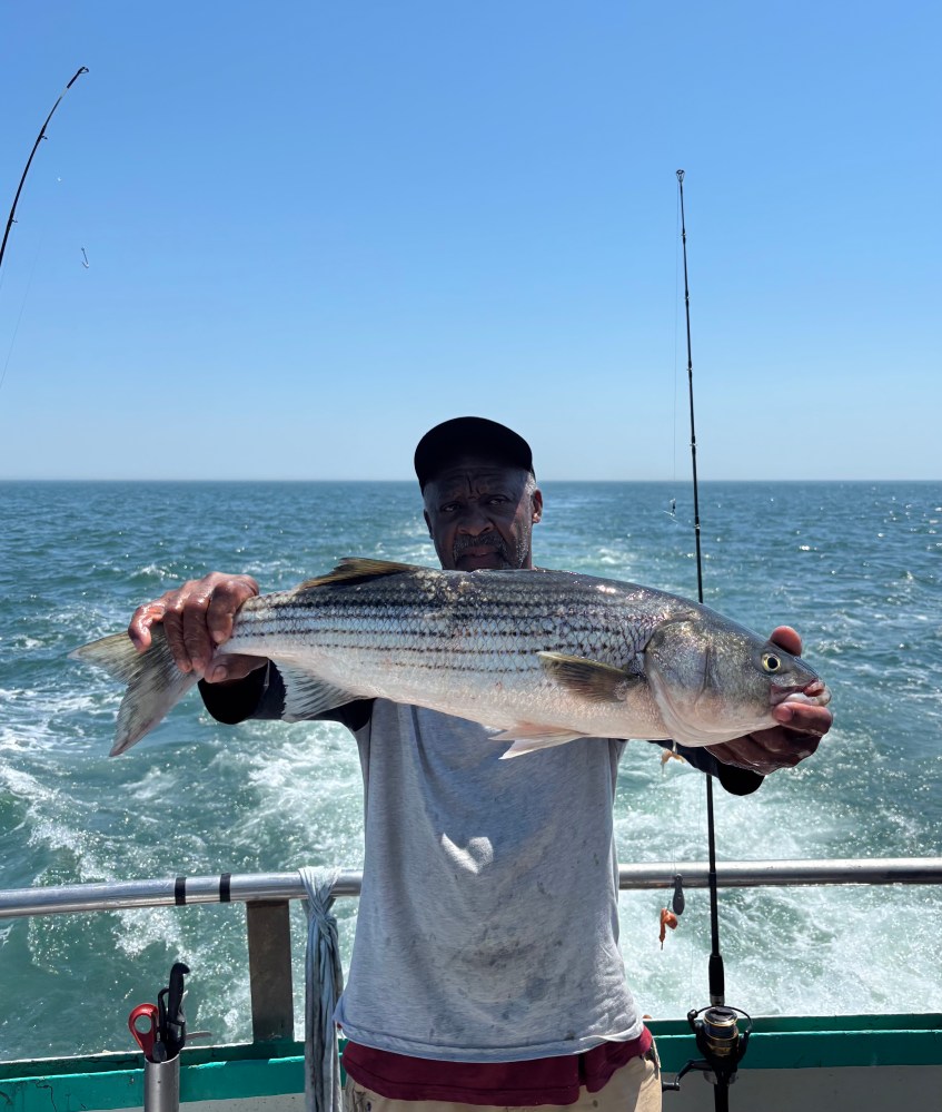 Person holding a large striped bass on a boat with ocean in background.