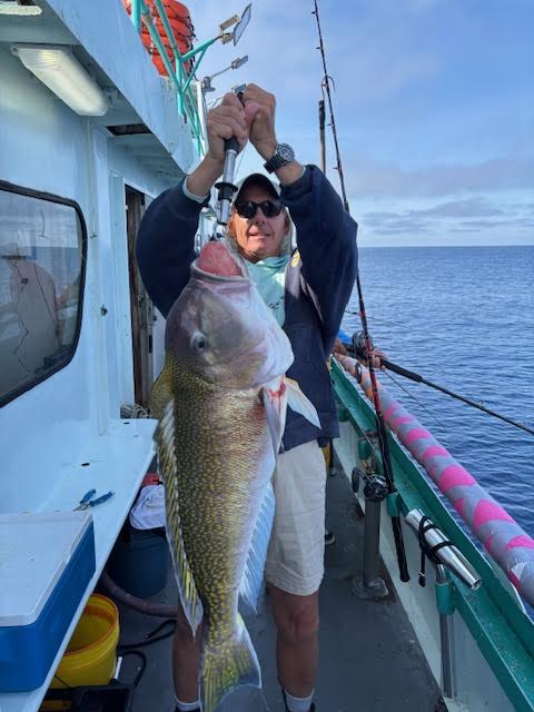 Person holding large fish on boat deck, ocean in background.