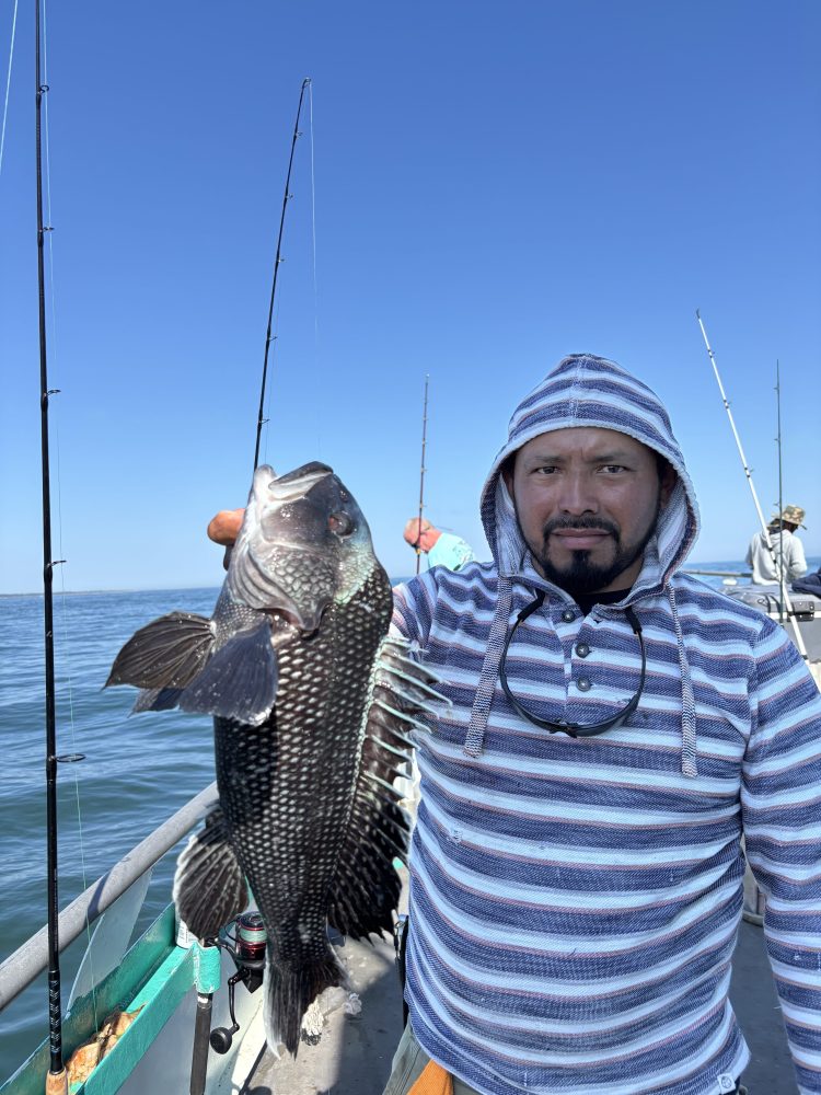Person in striped hoodie holds a large fish on a boat under a clear blue sky.