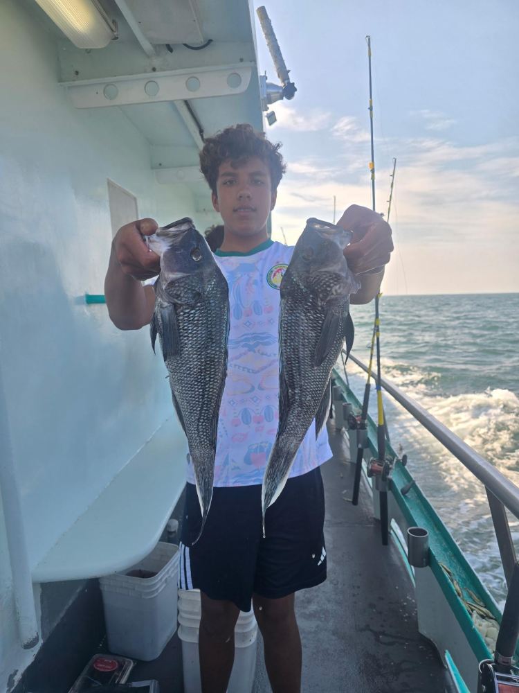 Person holding two large fish on a boat with ocean in background.