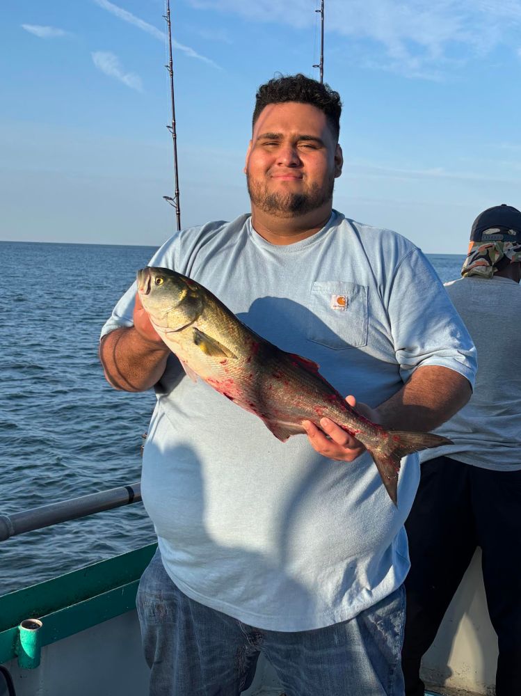 Man holding a fish on a boat with ocean background.