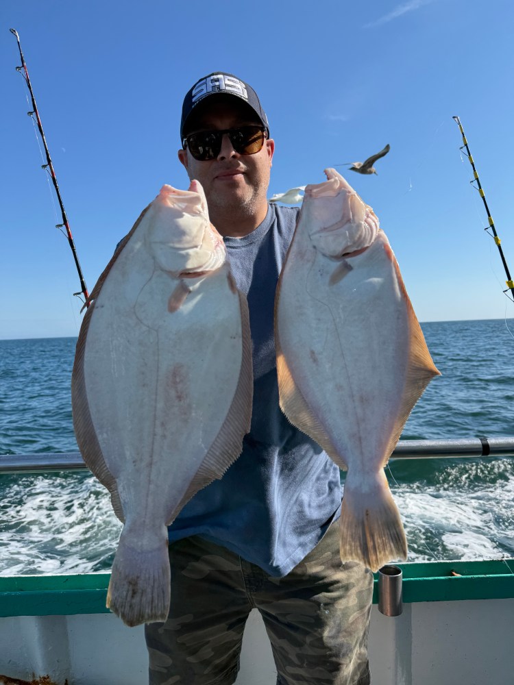 Man holding two large fish on a boat, with fishing rods and seagull in the background.