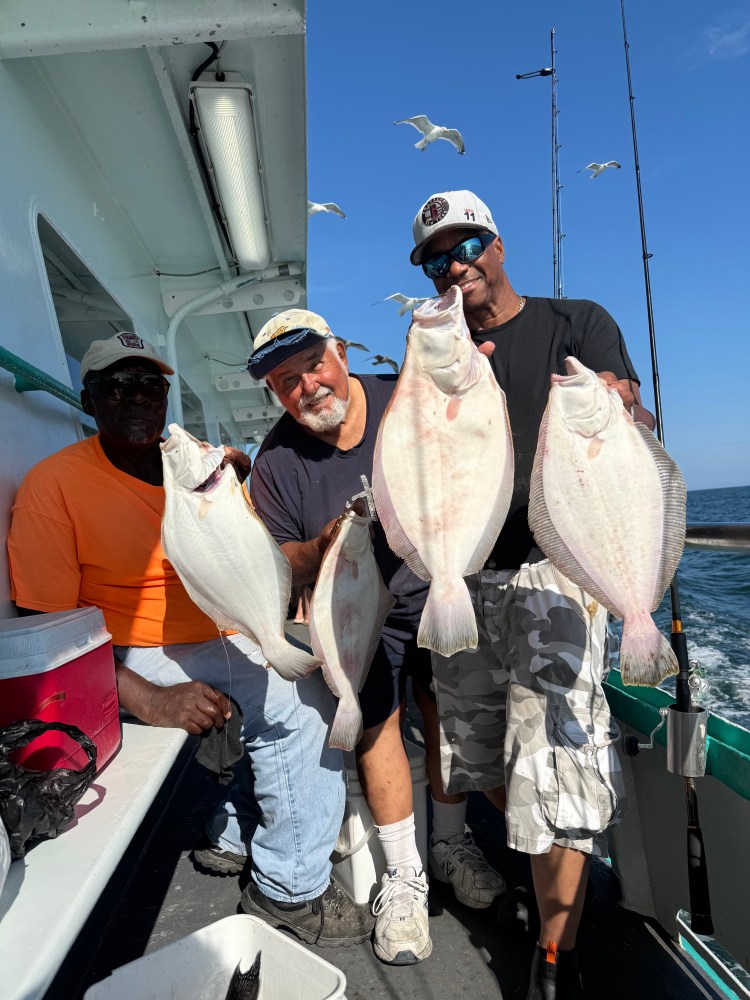 Three men on a boat holding large fish, with fishing rods and seagulls in the background.