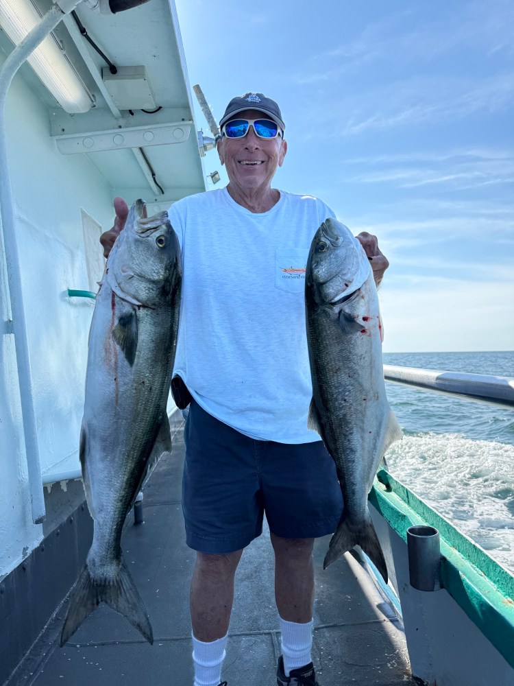Person holding two large fish on a boat deck, ocean in the background.